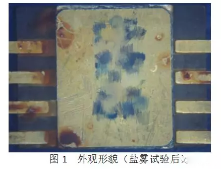 失效樣品外觀(guān)形貌